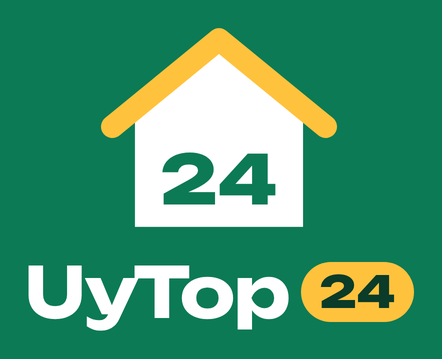 UyTop24